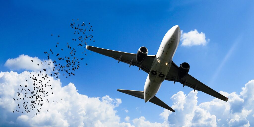 transport, traffic, to travel-3545973.jpg